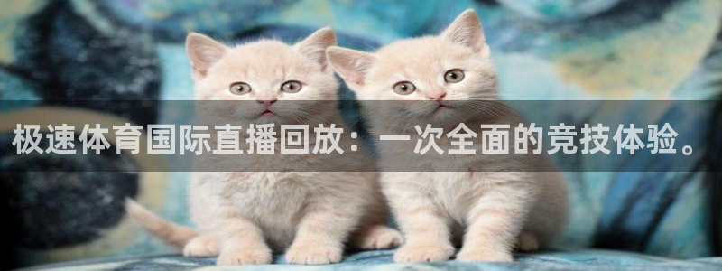 极速体育国际直播回放：一次全面的竞技体验。