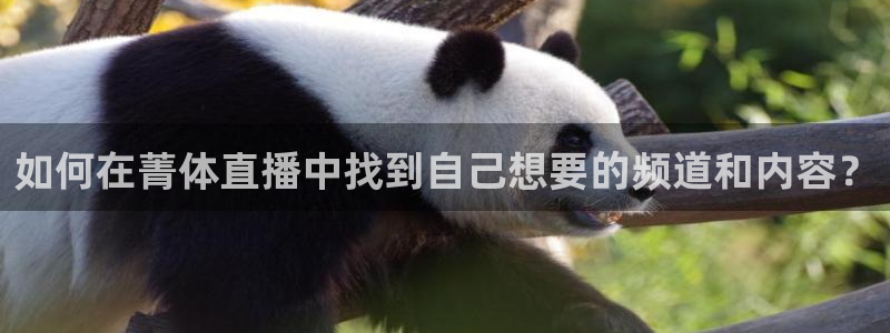 如何在菁体直播中找到自己想要的频道和内容？