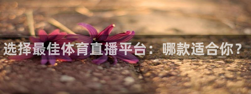 选择最佳体育直播平台：哪款适合你？