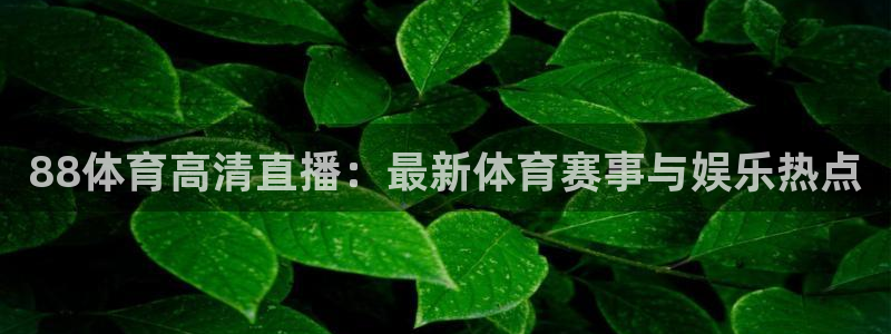 88体育高清直播：最新体育赛事与娱乐热点